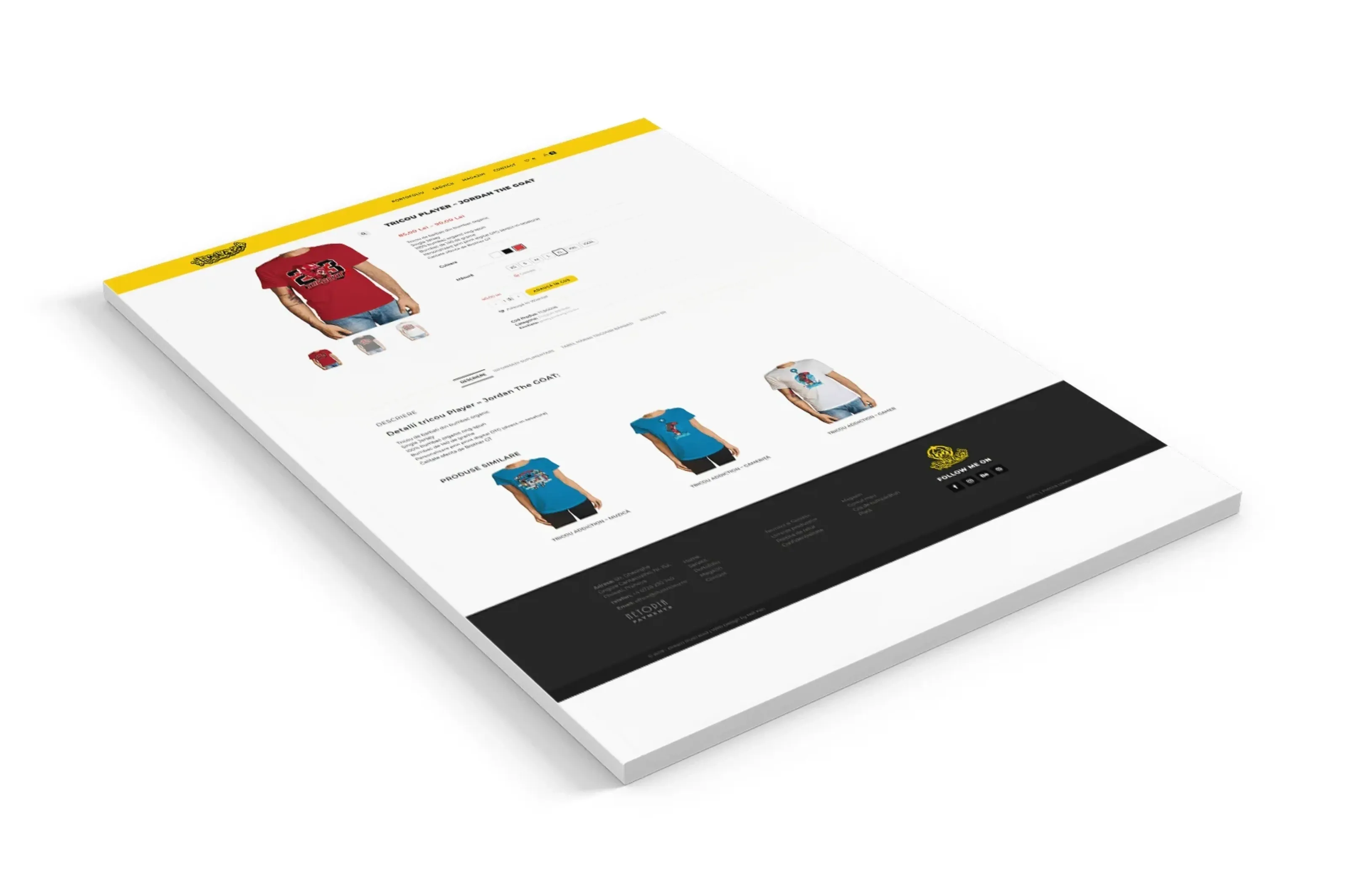 Screenshot website 4 pentru Lansarea unui Artist: De la Pasiune la Magazin Online