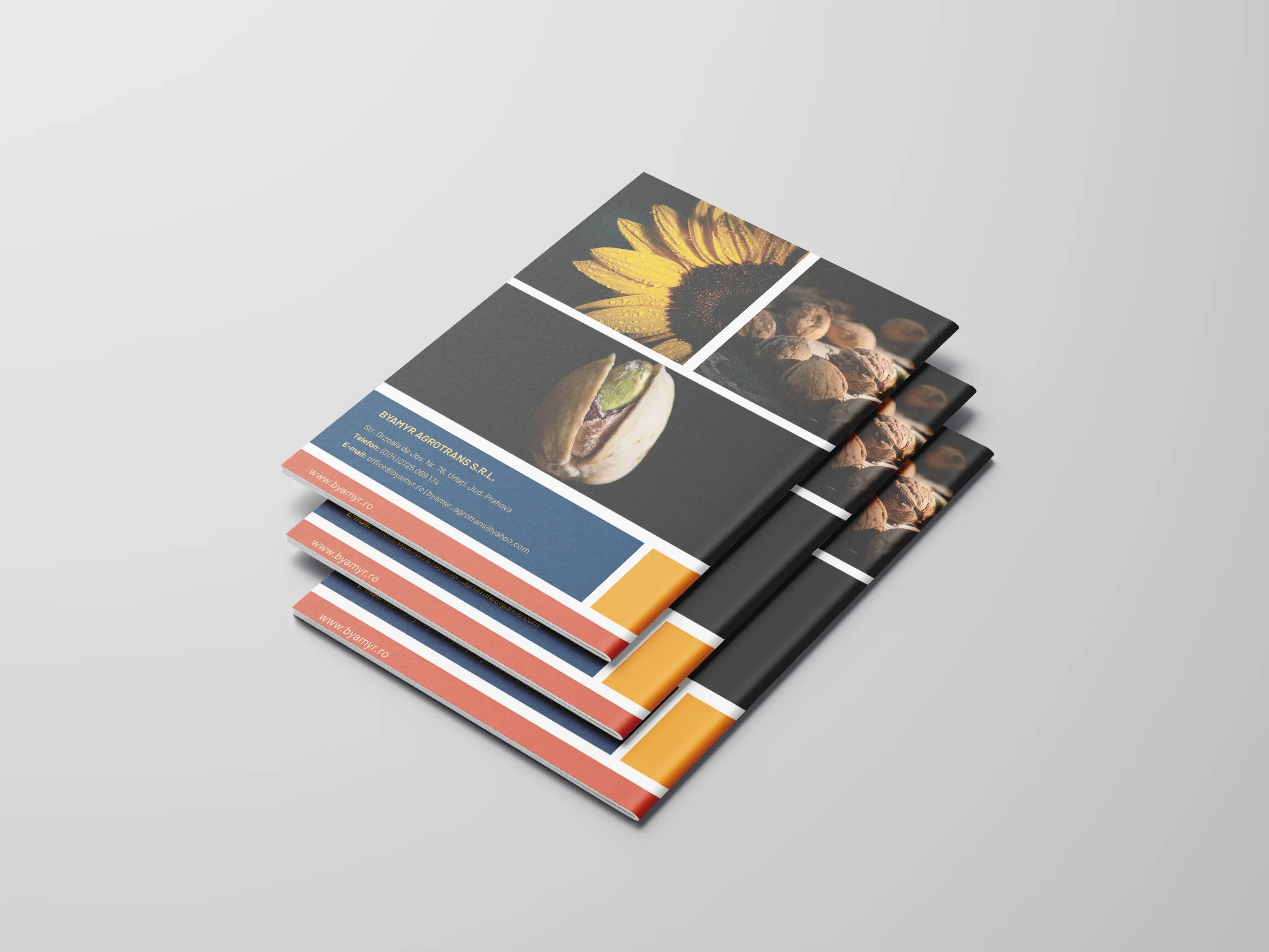 Imagine galerie 7 pentru Catalog Produse Byamyr