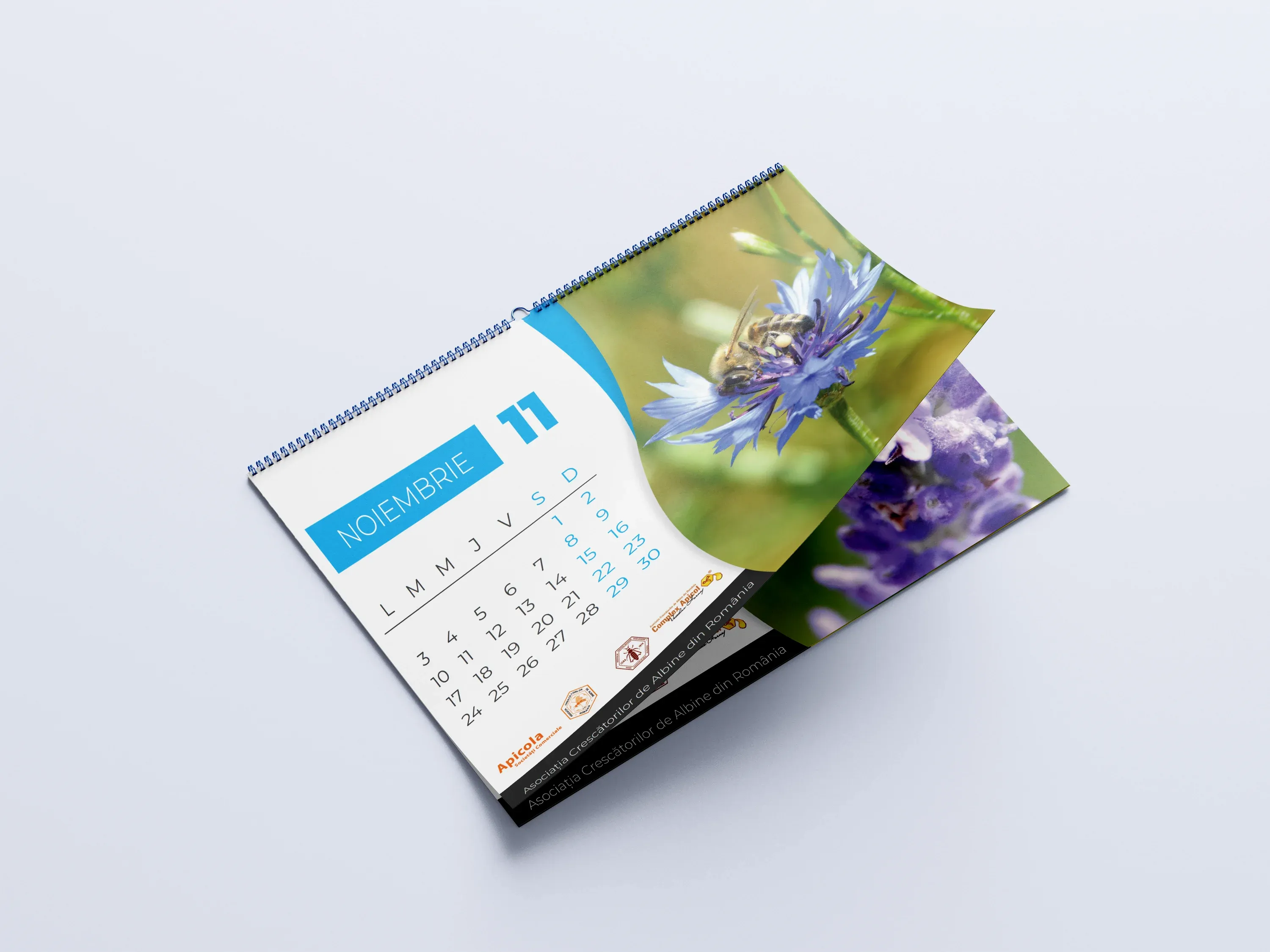 Imagine galerie 6 pentru Calendare Anuale ACA