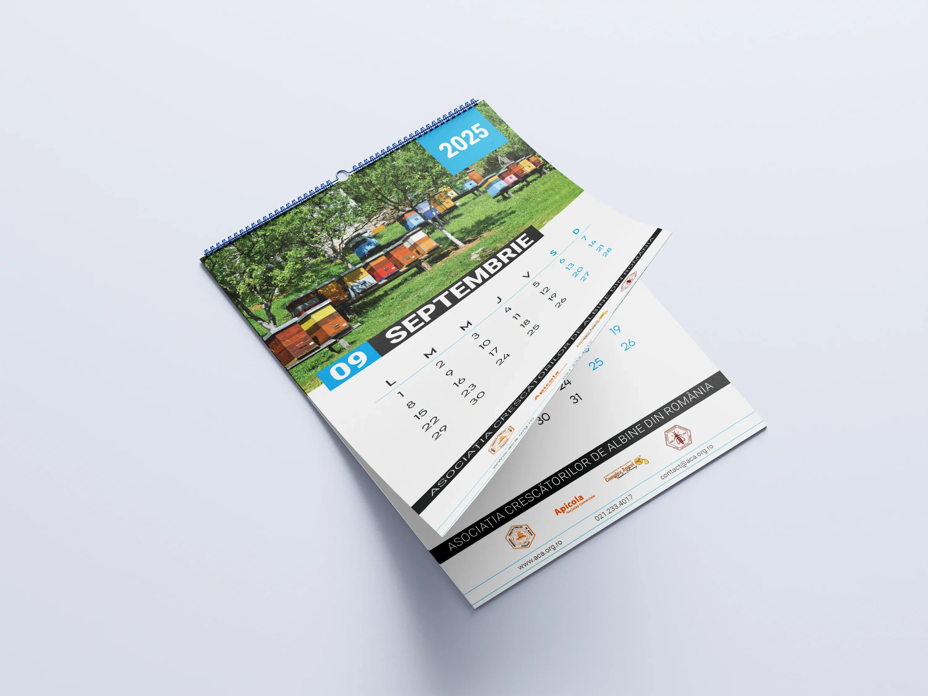 Imagine galerie 2 pentru Calendare Anuale ACA