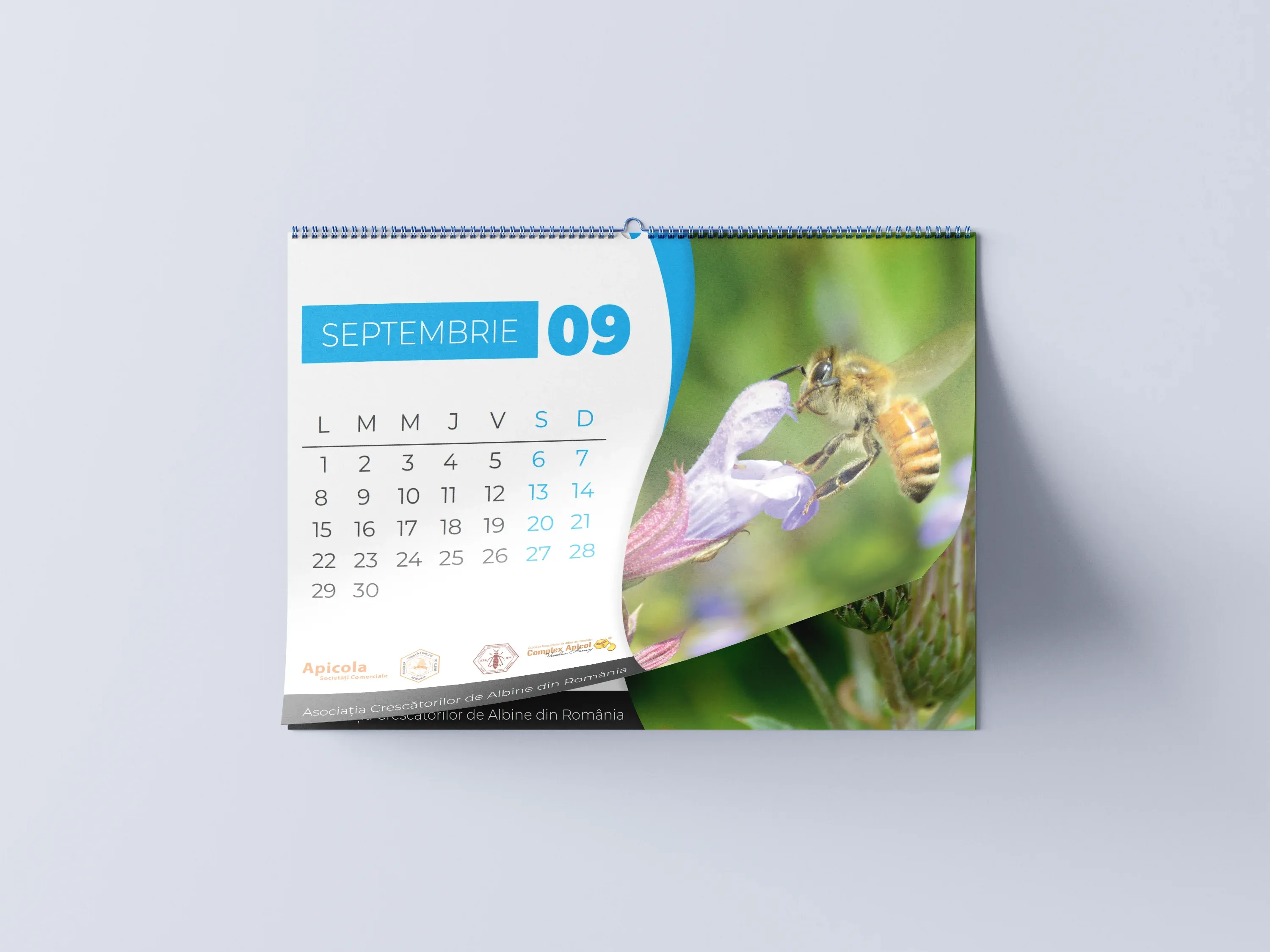 Imagine galerie 8 pentru Calendare Anuale ACA