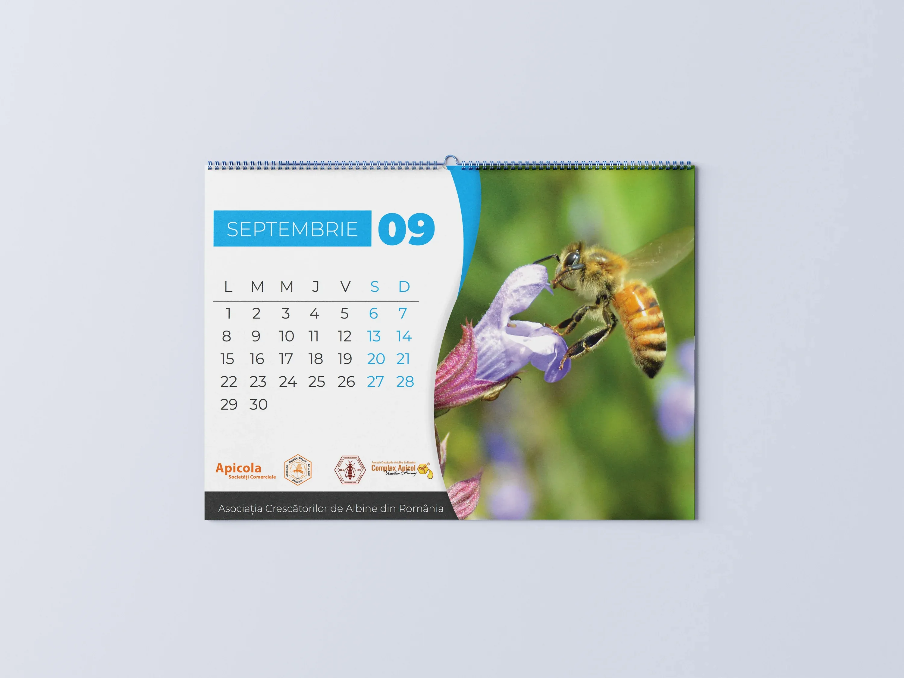 Imagine galerie 7 pentru Calendare Anuale ACA