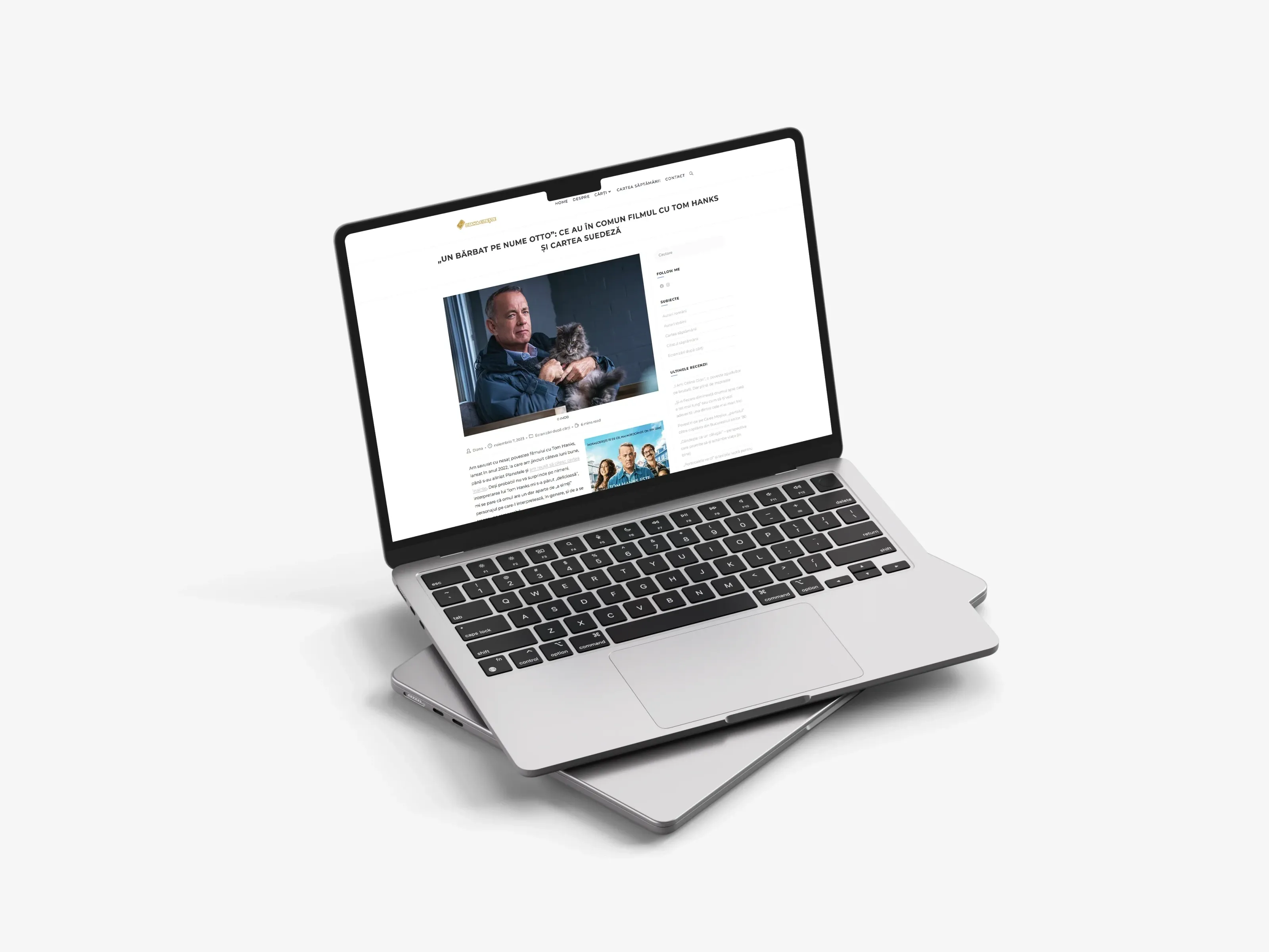 Screenshot website 2 pentru Diana Citește