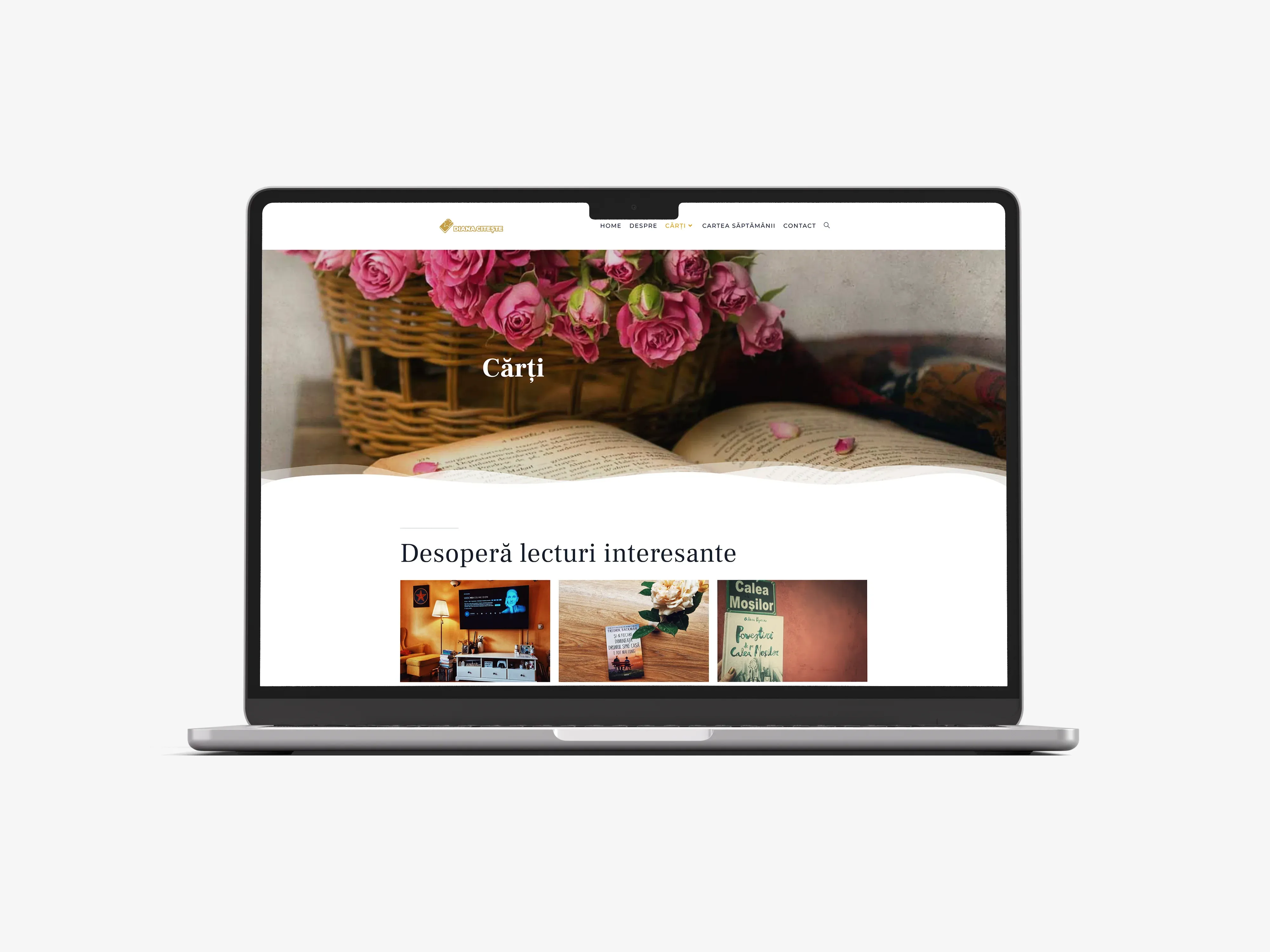 Screenshot website 3 pentru Diana Citește