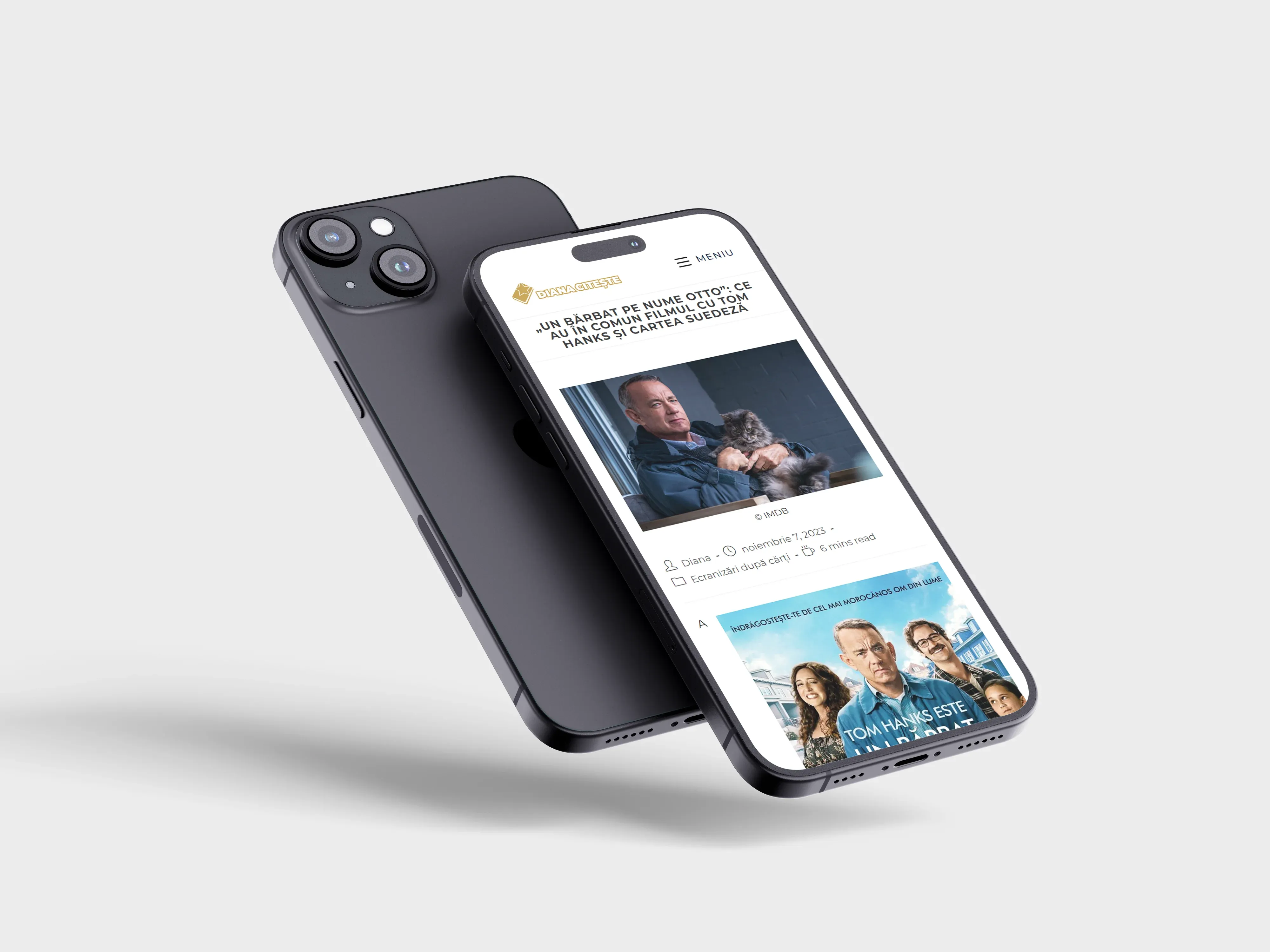 Screenshot website 8 pentru Diana Citește