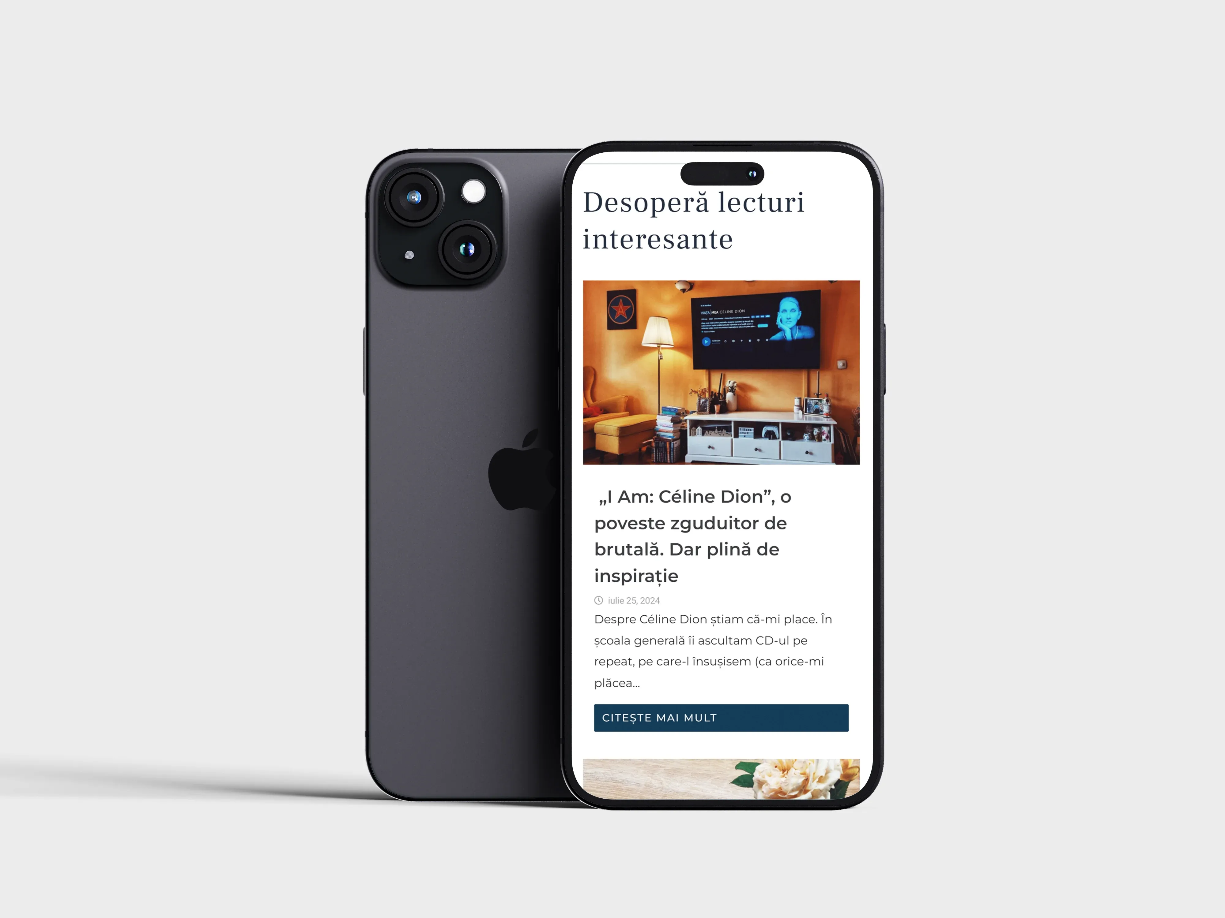Screenshot website 9 pentru Diana Citește