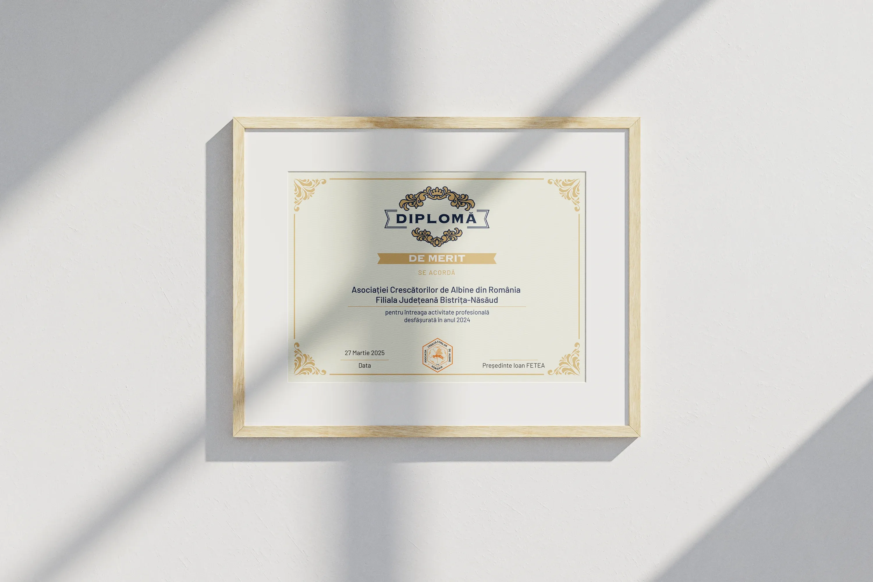 Imagine galerie 3 pentru Diplome de Merit ACA