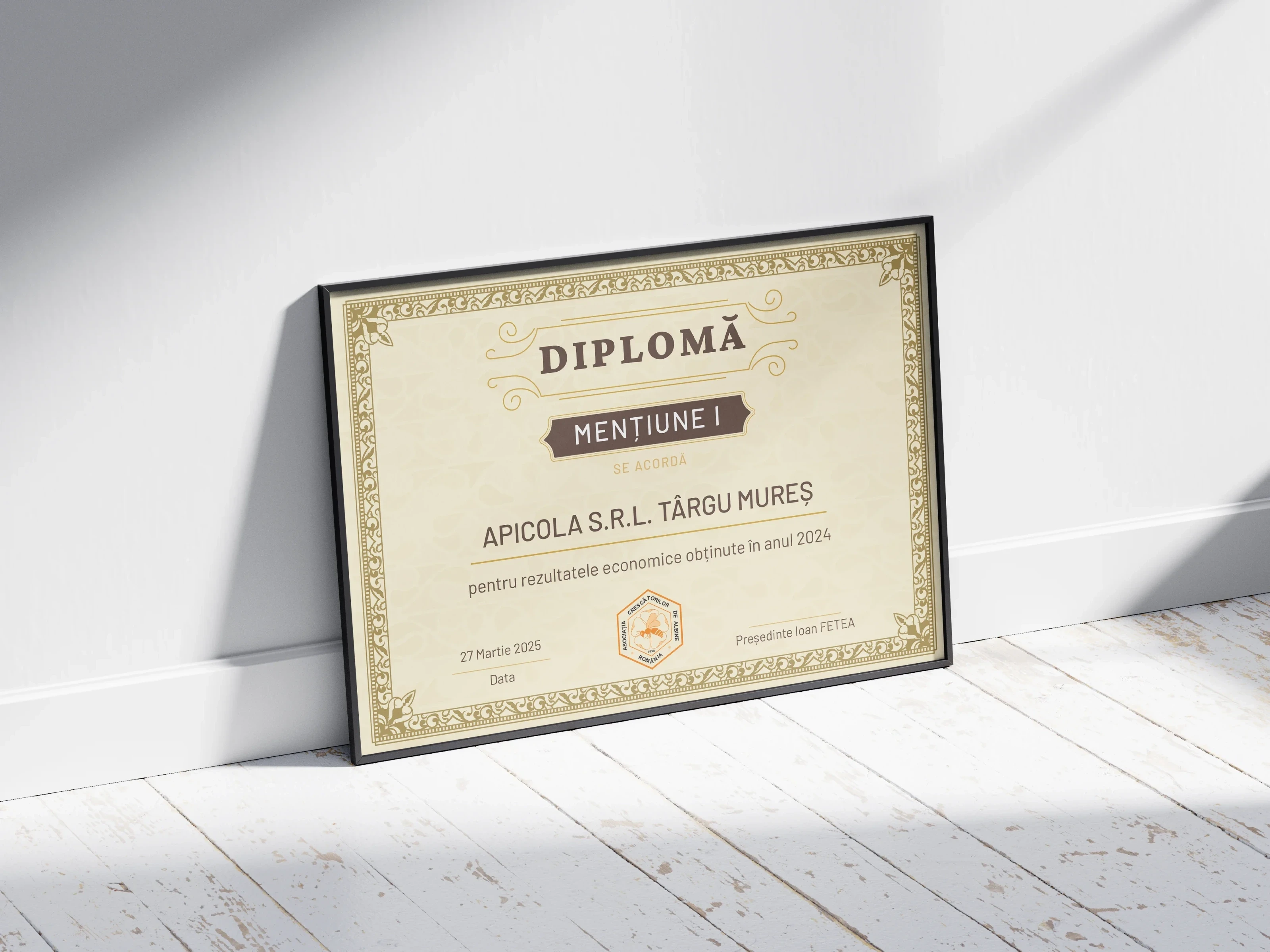 Imagine principală pentru Diplome de Merit ACA