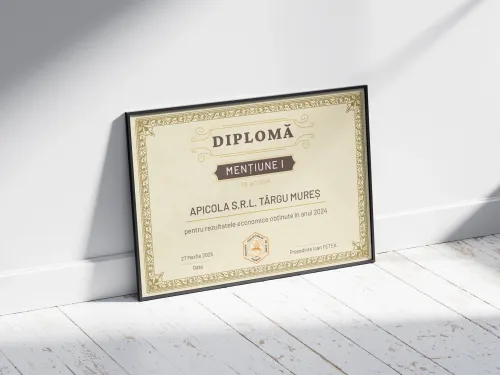 Diplome de Merit ACA