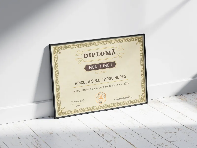 Diplome de Merit ACA