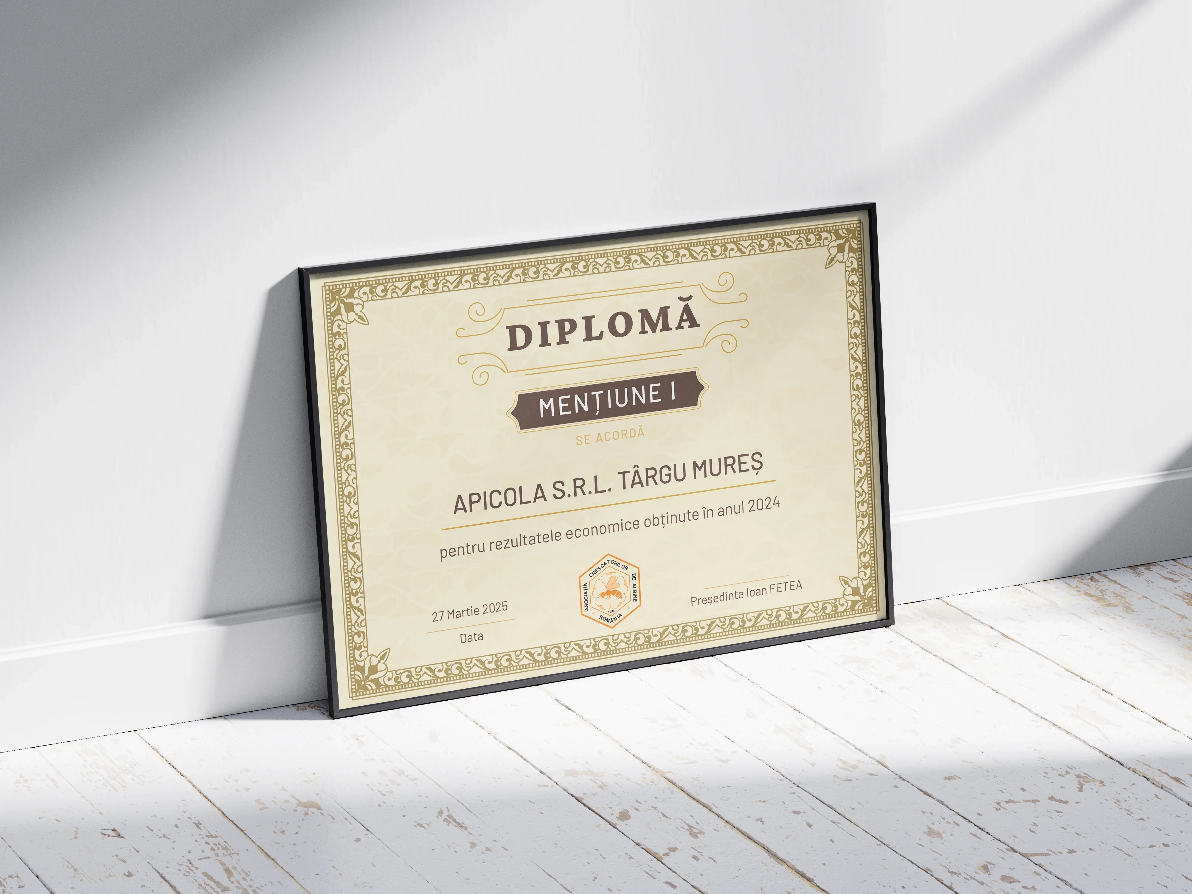 Imagine principală pentru Diplome de Merit ACA