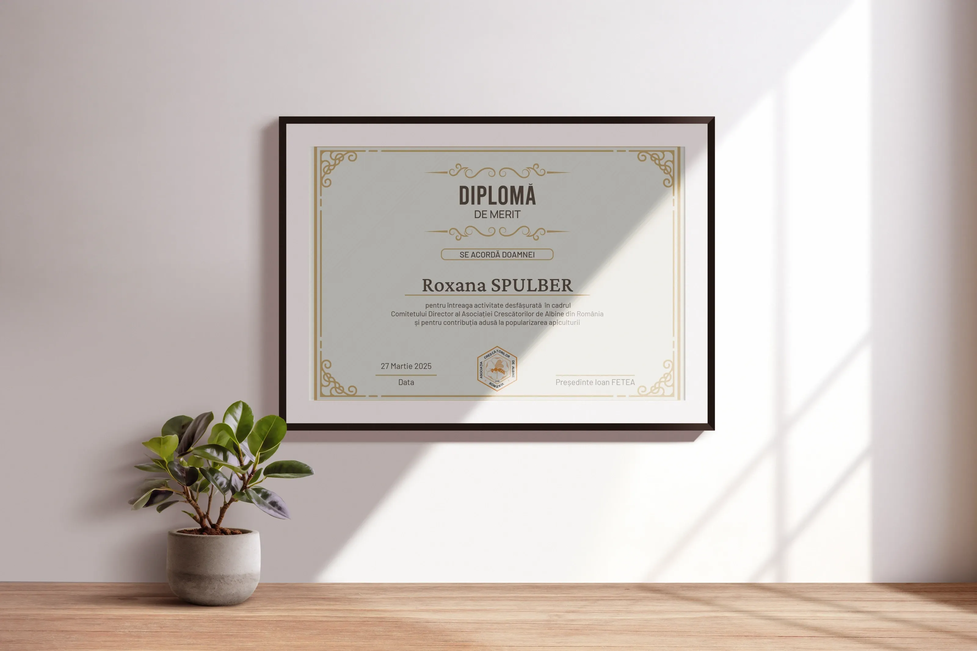 Imagine galerie 4 pentru Diplome de Merit ACA