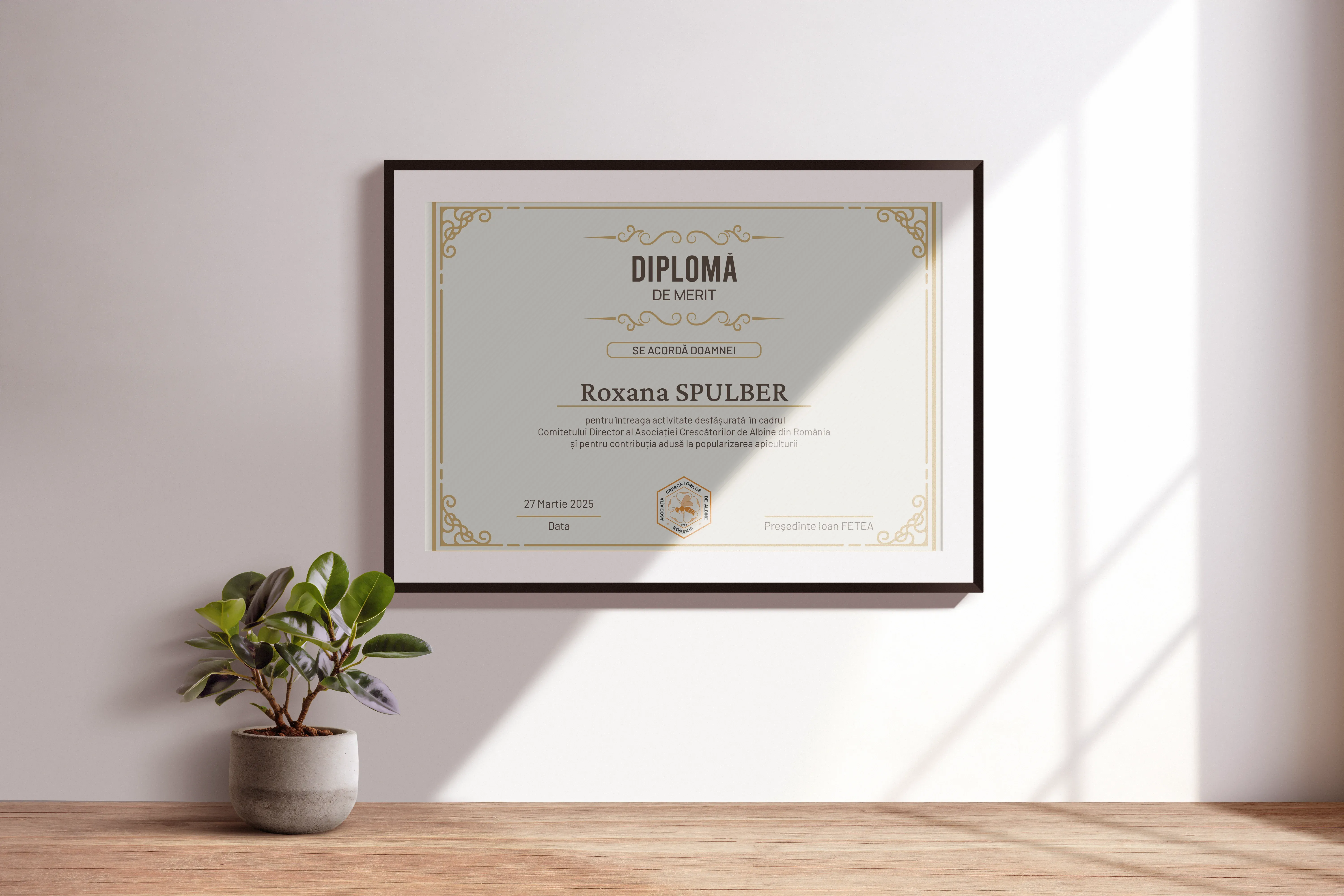 Imagine galerie 4 pentru Diplome de Merit ACA