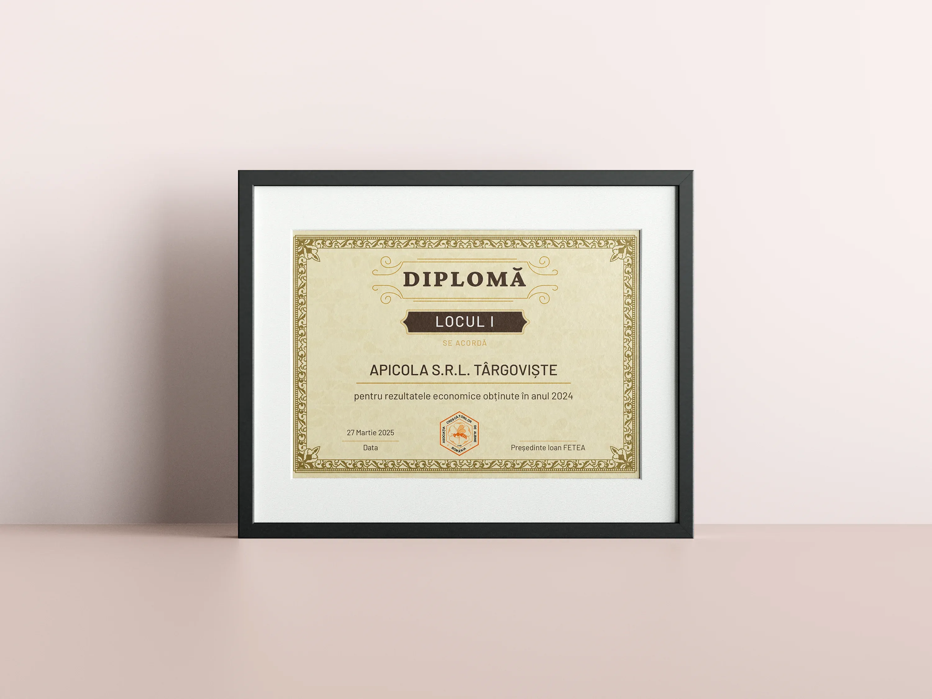 Imagine galerie 1 pentru Diplome de Merit ACA