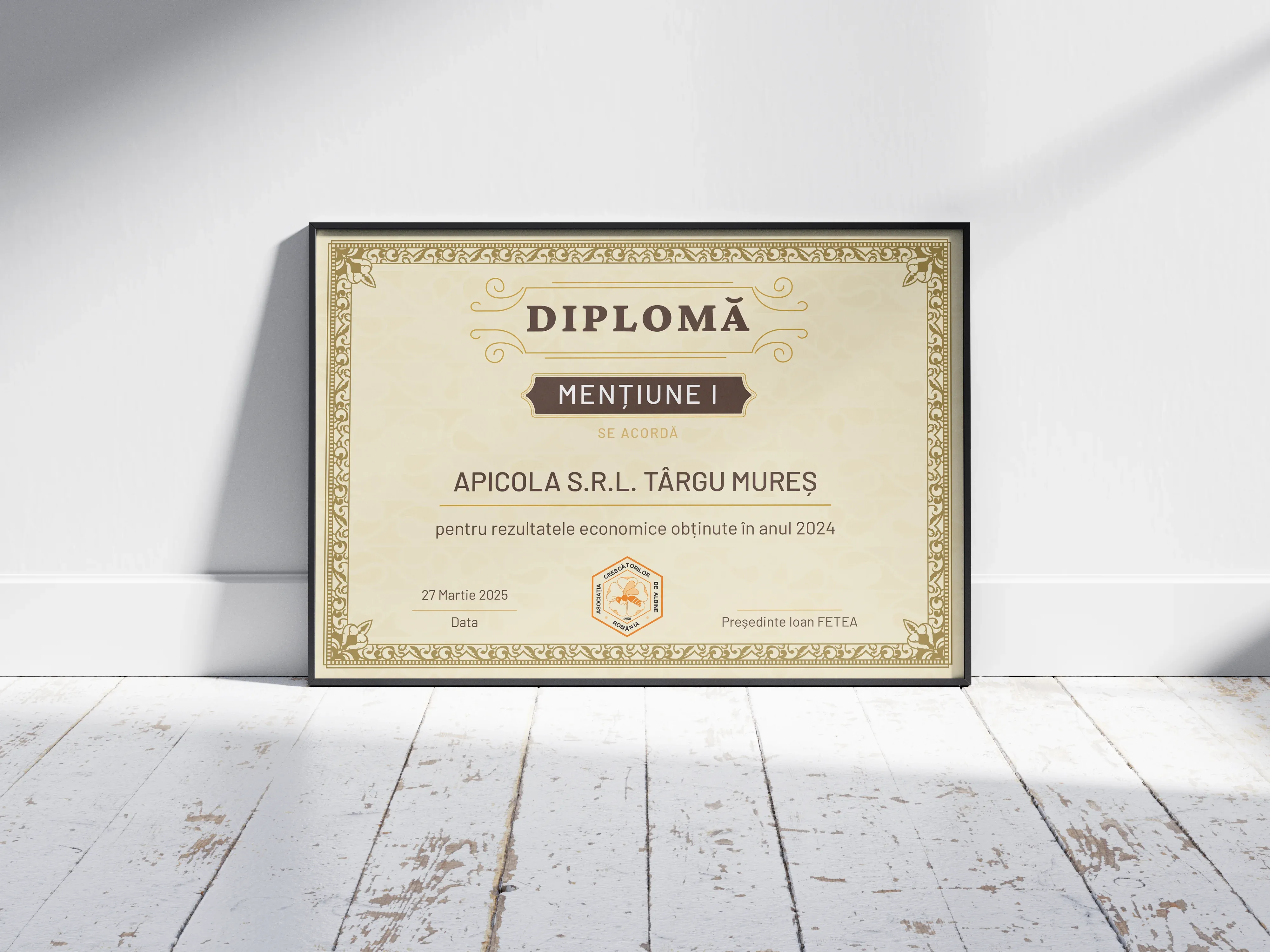 Imagine galerie 2 pentru Diplome de Merit ACA