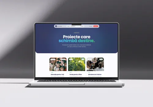 Efect Voluntar