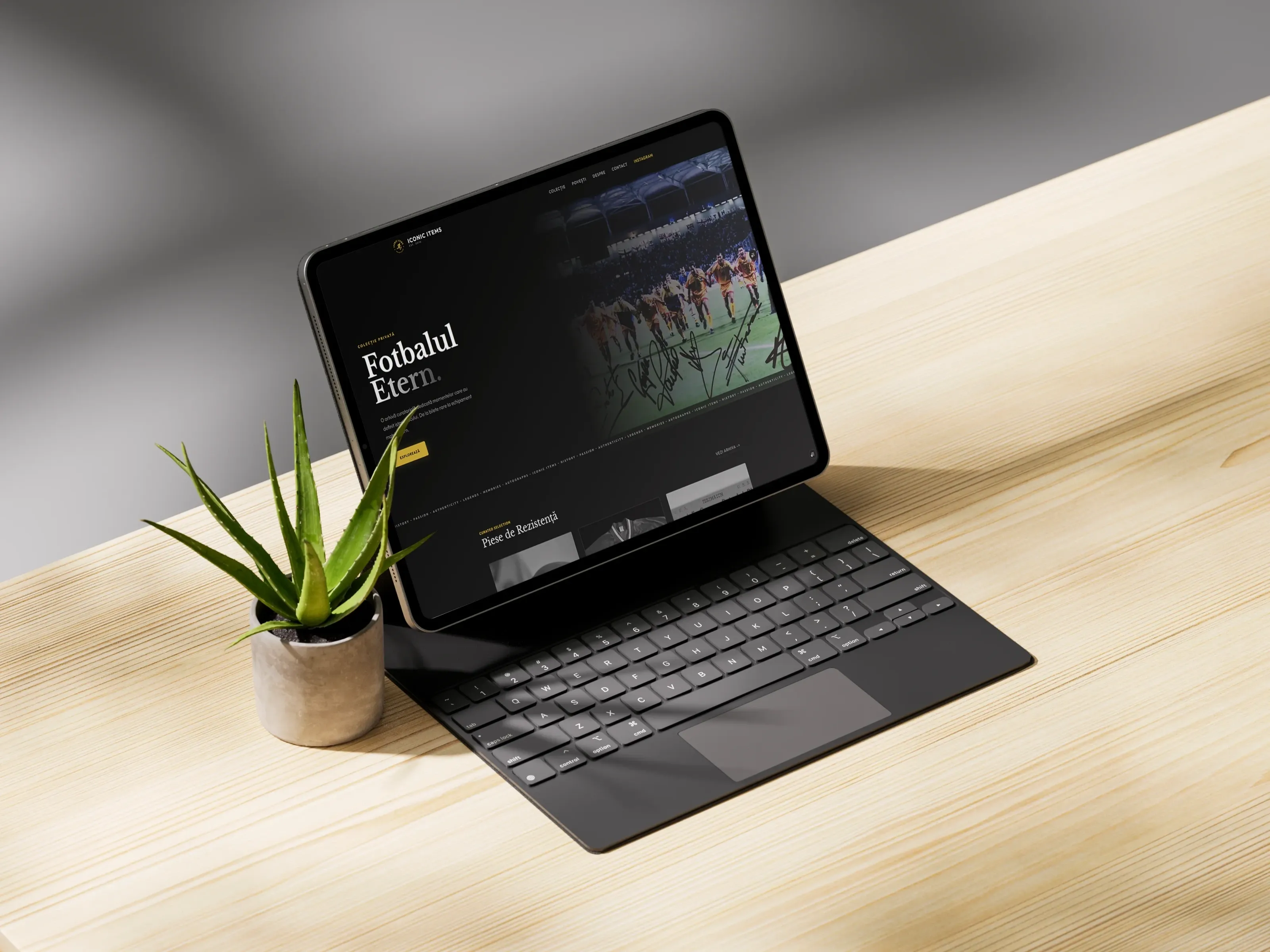 IconicItems pe Tabletă