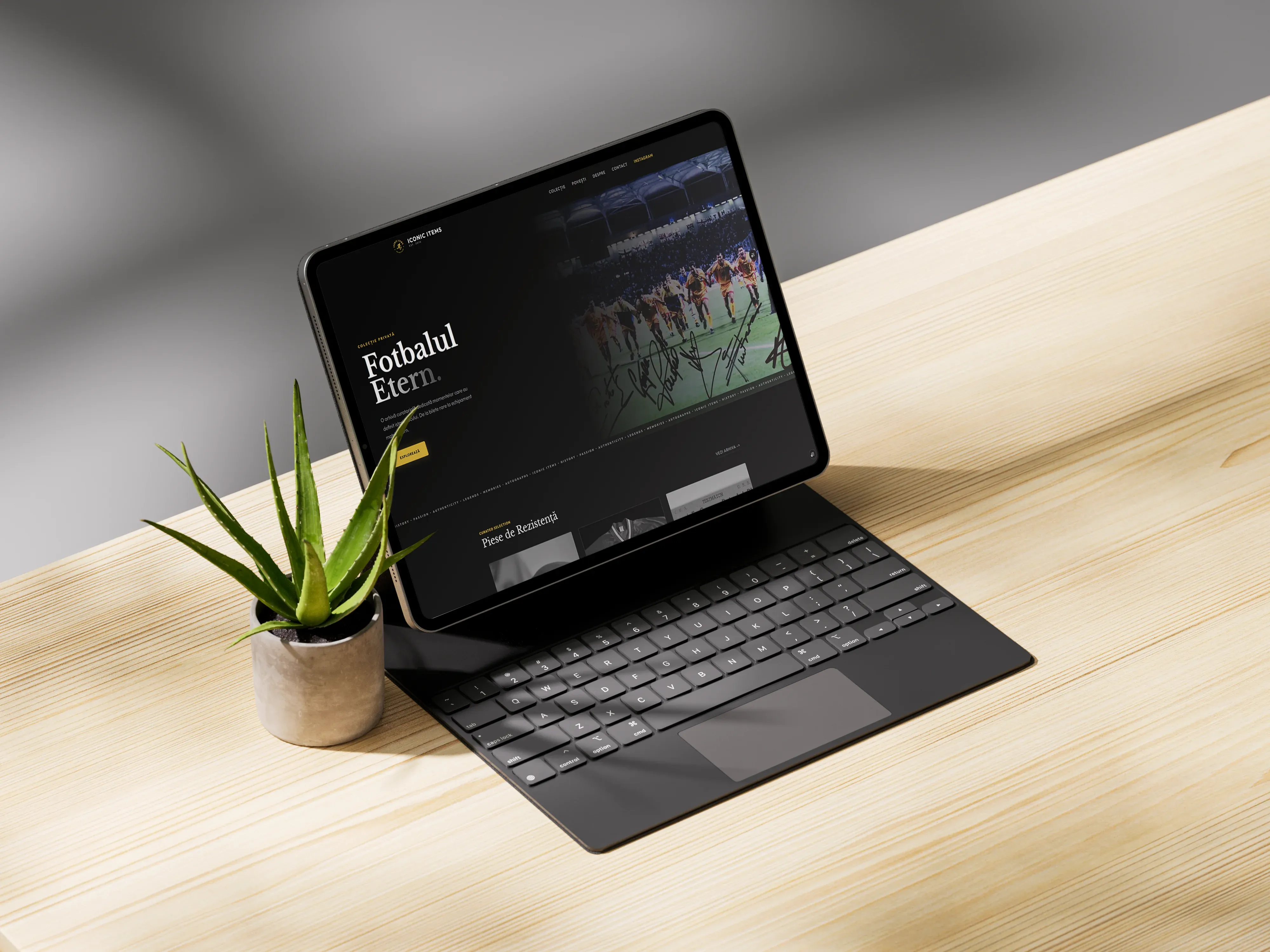 IconicItems pe Tabletă