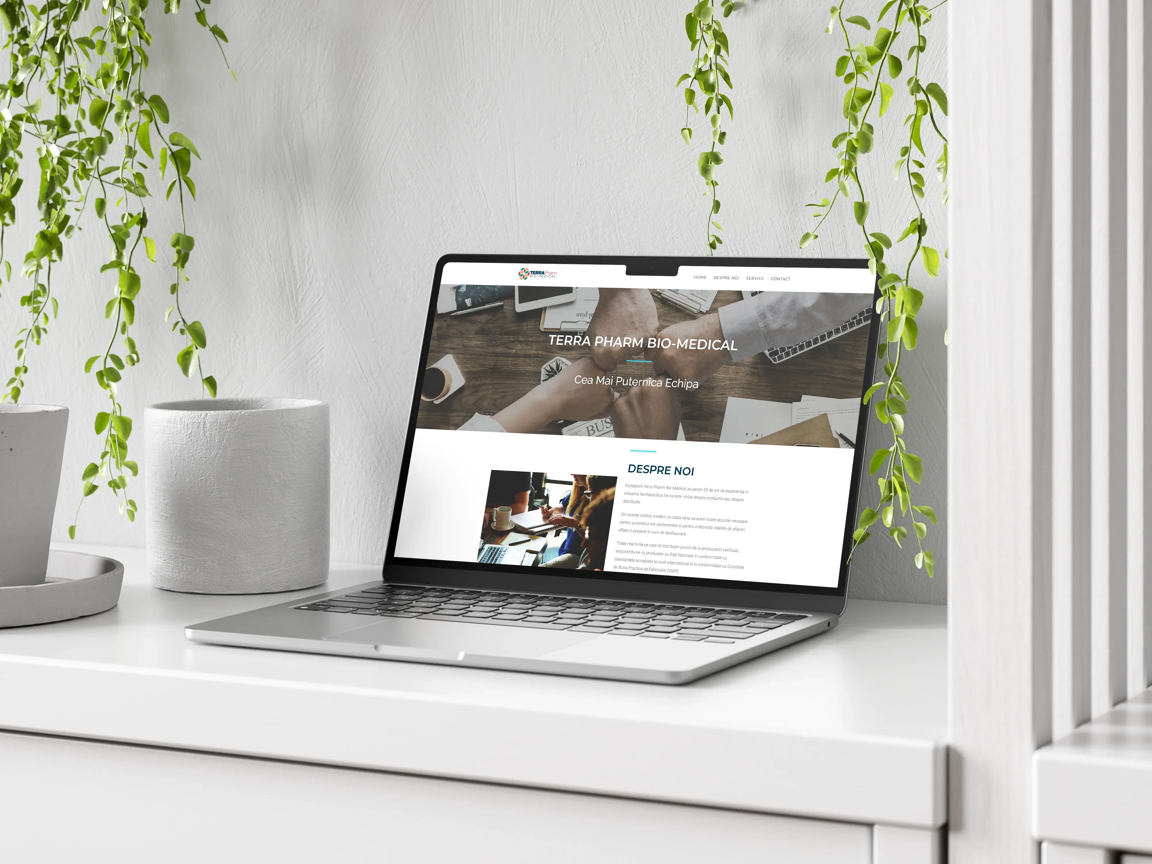 Screenshot website 3 pentru Parteneriat de 8 Ani: Succesul Continuu al Terrapharm Bio