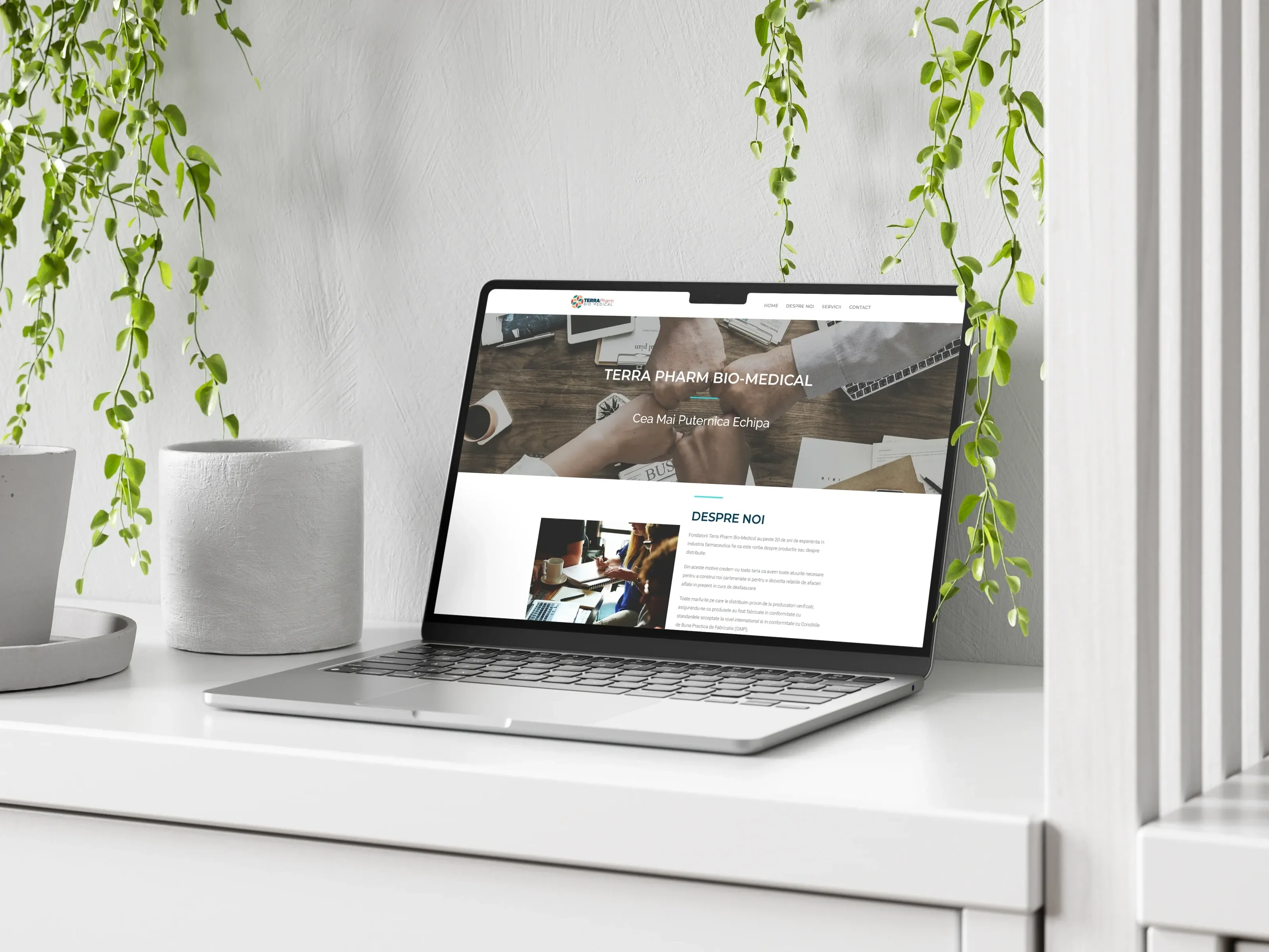 Screenshot website 3 pentru Parteneriat de 8 Ani: Succesul Continuu al Terrapharm Bio