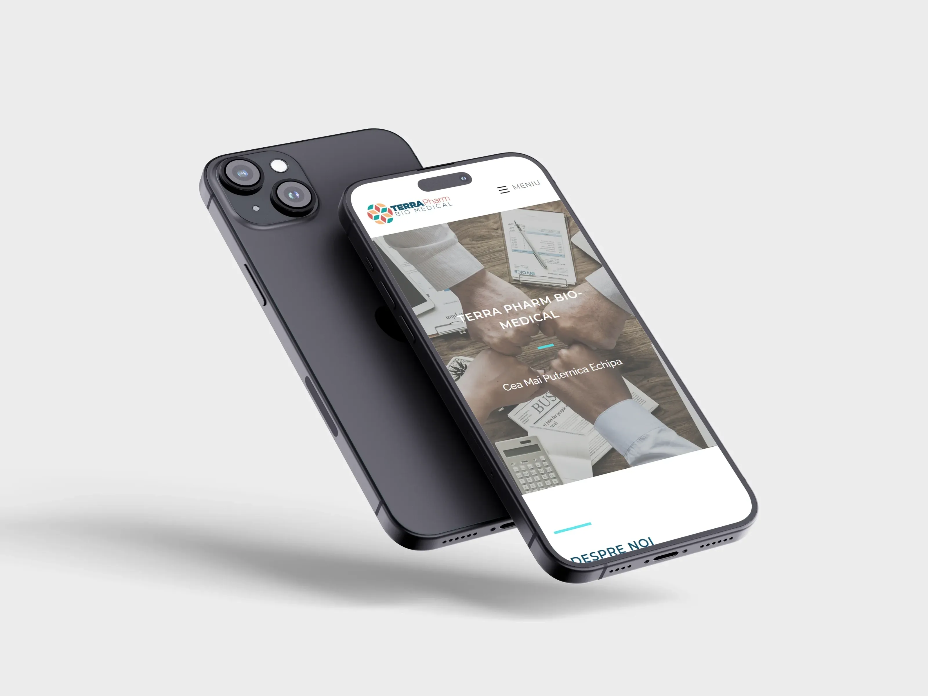 Screenshot website 10 pentru Parteneriat de 8 Ani: Succesul Continuu al Terrapharm Bio