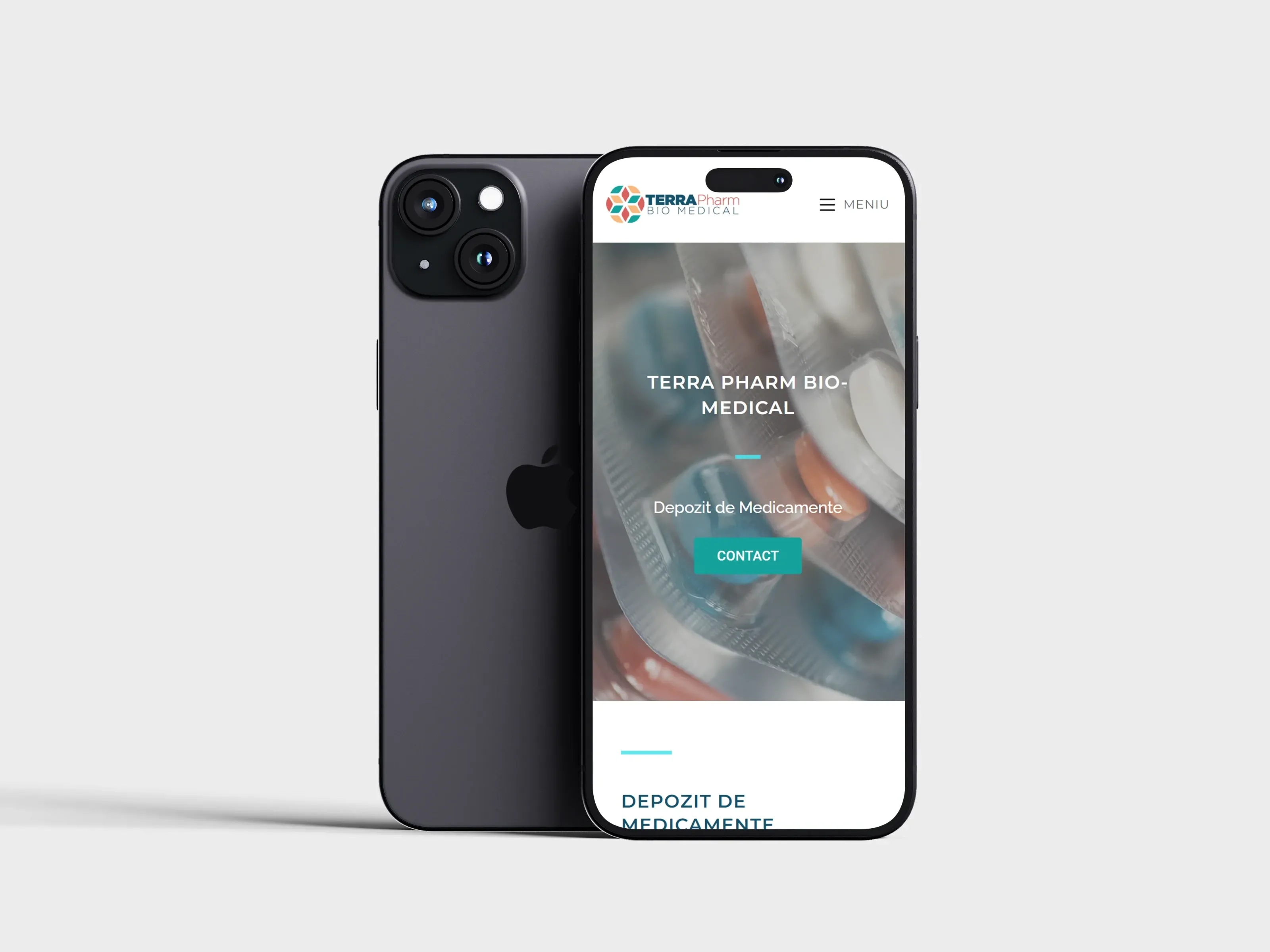 Screenshot website 8 pentru Parteneriat de 8 Ani: Succesul Continuu al Terrapharm Bio